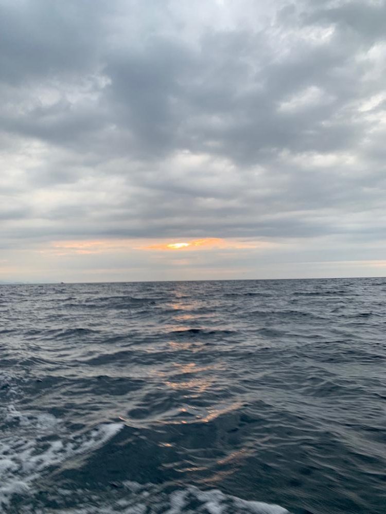 潮かなり速く…