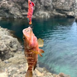 日本海遠征！！