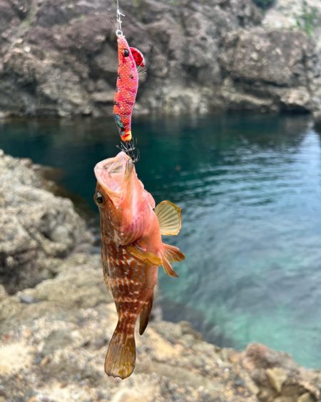 日本海遠征！！