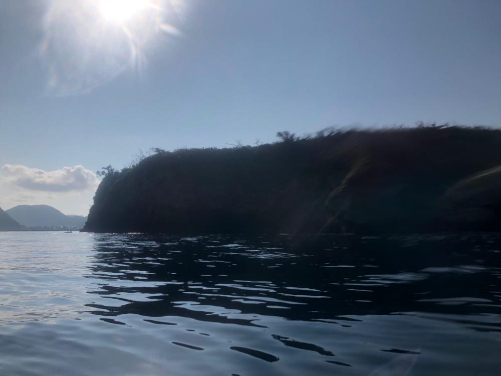 supフィッシング