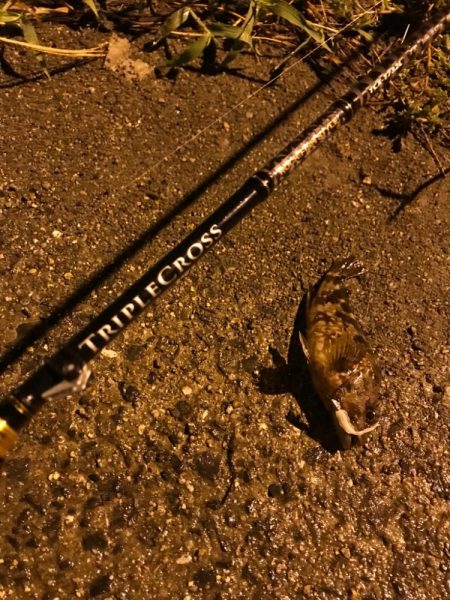 涼しい早朝にトリプルクロスでライトロック！