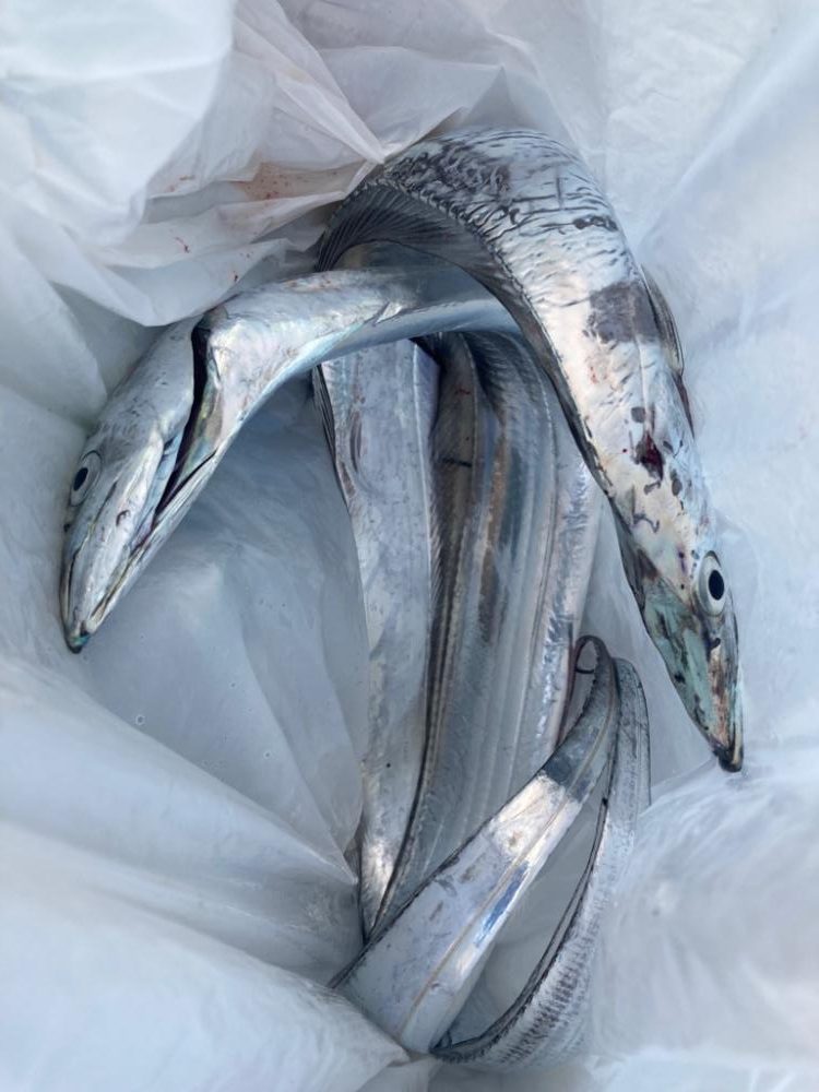 2022ライトゲーム第28戦