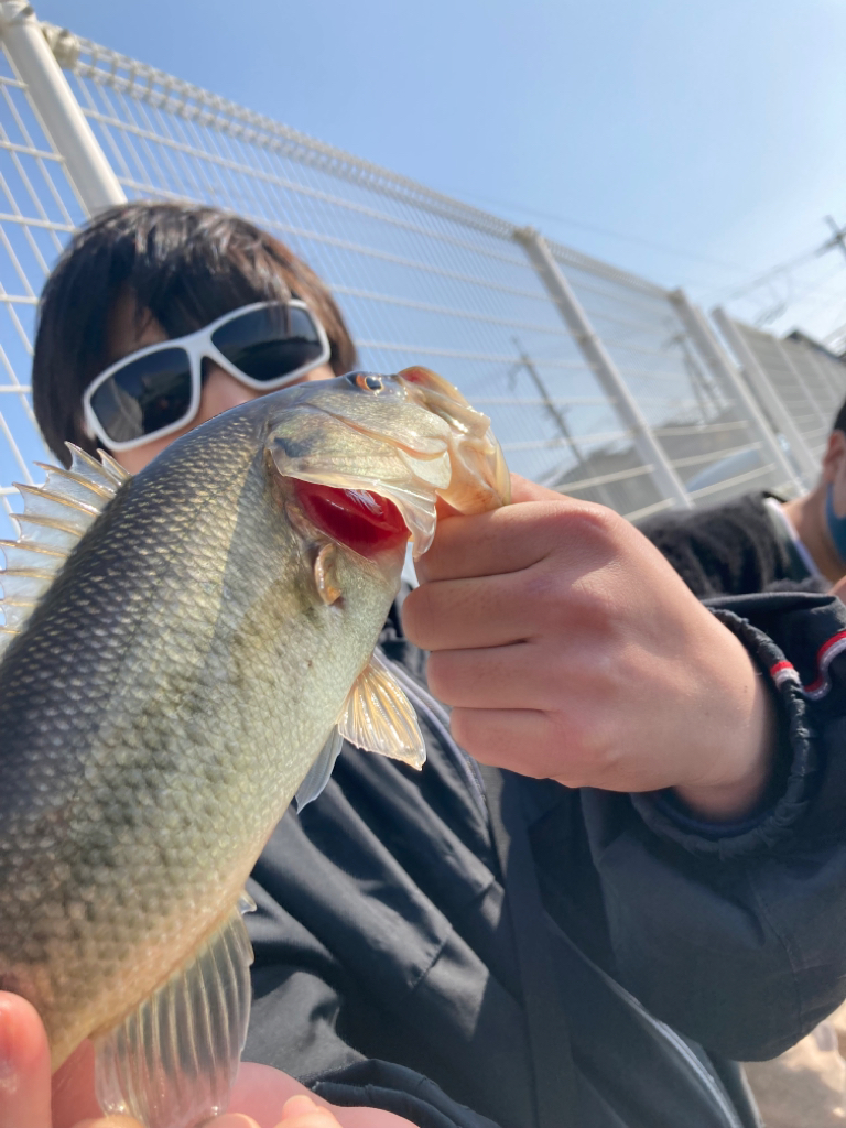 淀川小バス祭り