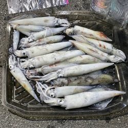 小浜沖でイカメタル釣行！