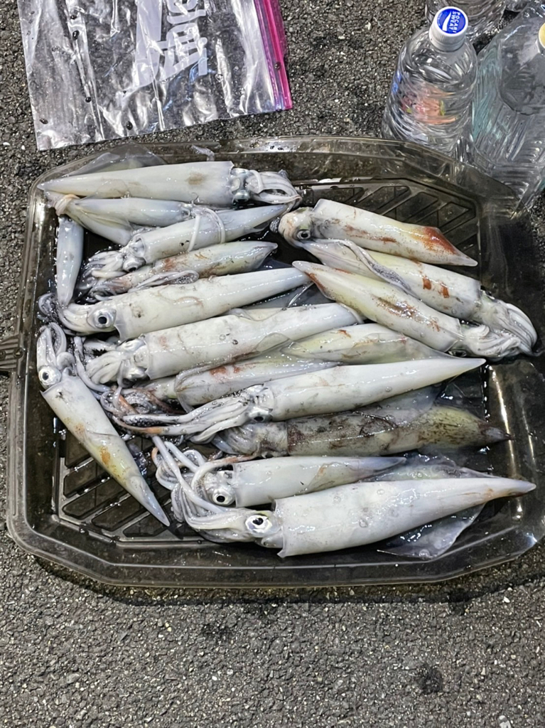 小浜沖でイカメタル釣行！