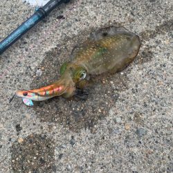 念願のシーズンイン！！