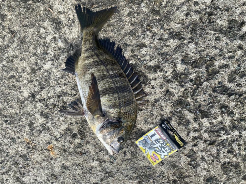 流れの変化時、連続アタリが・・・