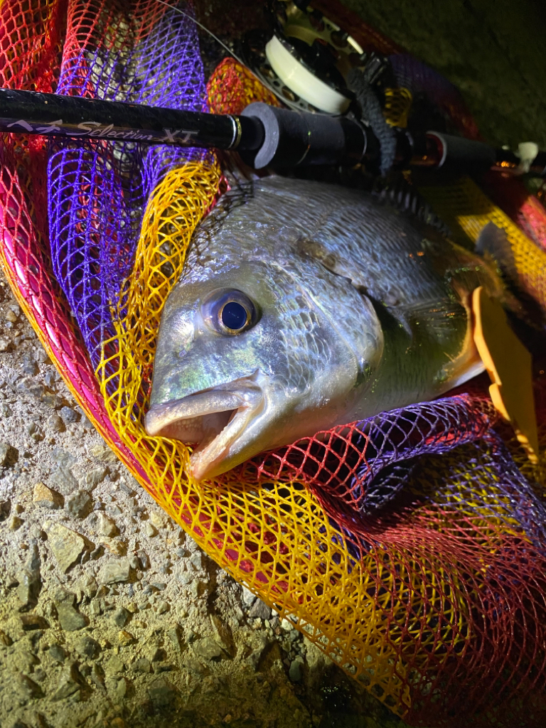 ヘチってきました