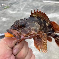 NEWリールに闘魂注入