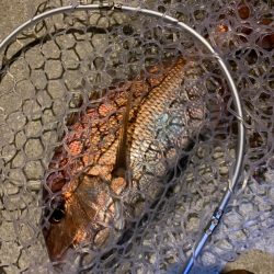 南紀のモンスターハンターに挑戦!