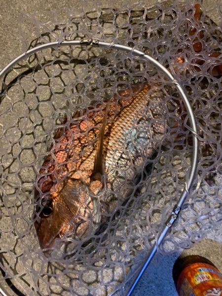 南紀のモンスターハンターに挑戦！