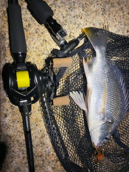 チニング アタリは無限