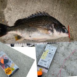 釣り途中、風向きが変わり