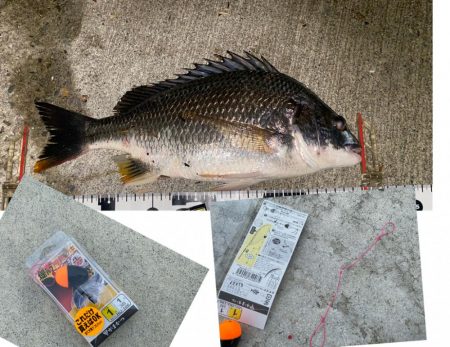 釣り途中、風向きが変わり