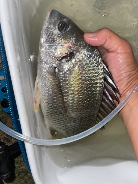 夕涼みぶっ込み