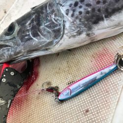 海は玉手箱❗️…