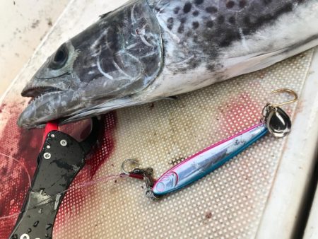 海は玉手箱❗️…