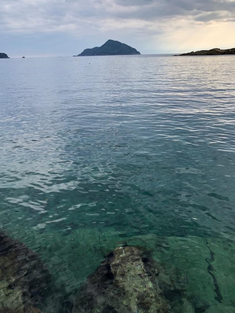 綺麗な海で五目釣り