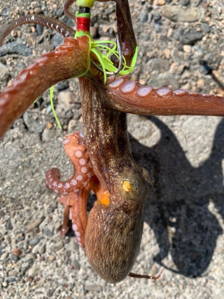 盆休み、初日ヤバい!