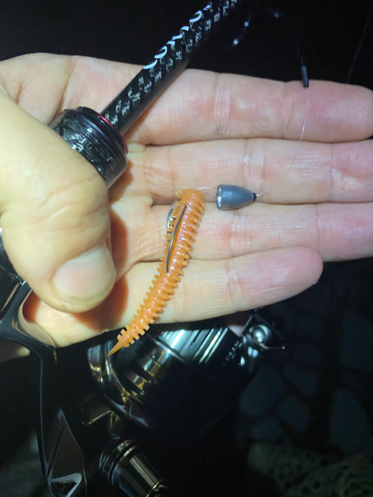 淀川ブリームゲーム