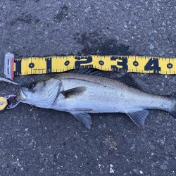 久しぶりのオープンエリア