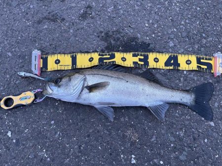 久しぶりのオープンエリア