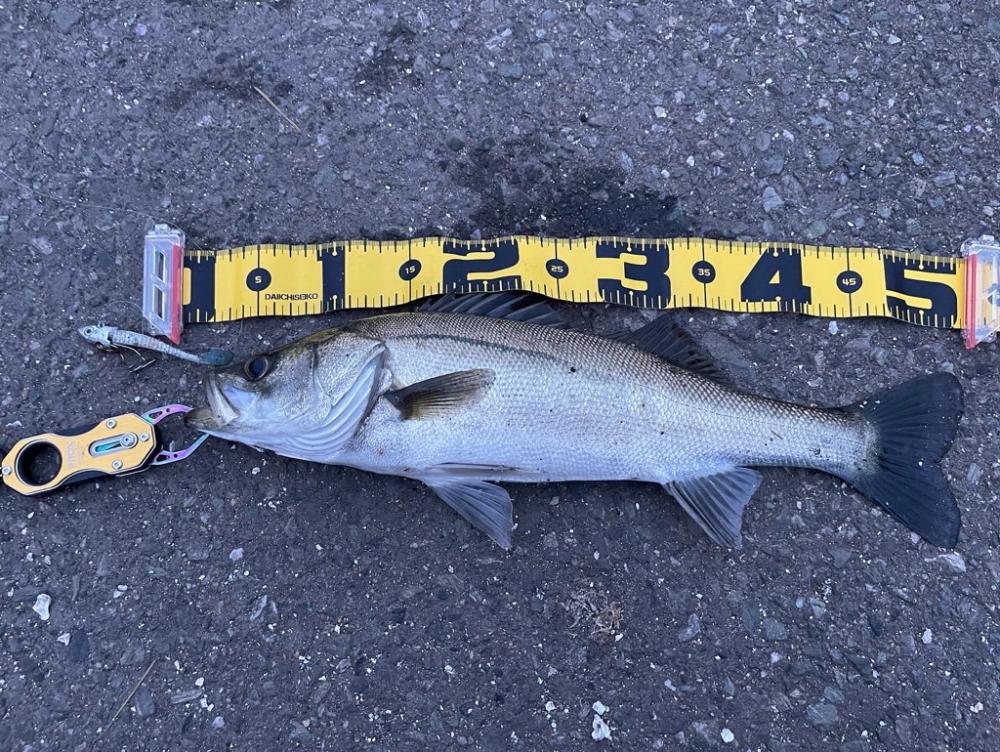 久しぶりのオープンエリア