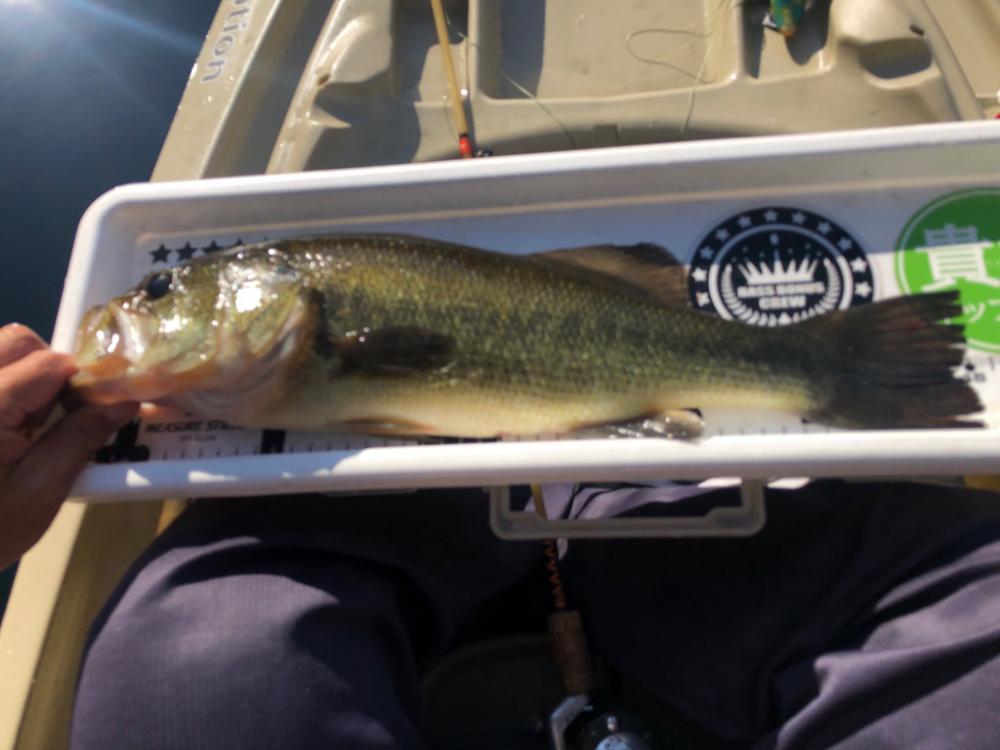 ロケーション最高なダム❣️