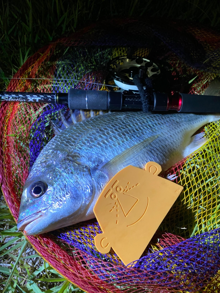 ヘチってきました