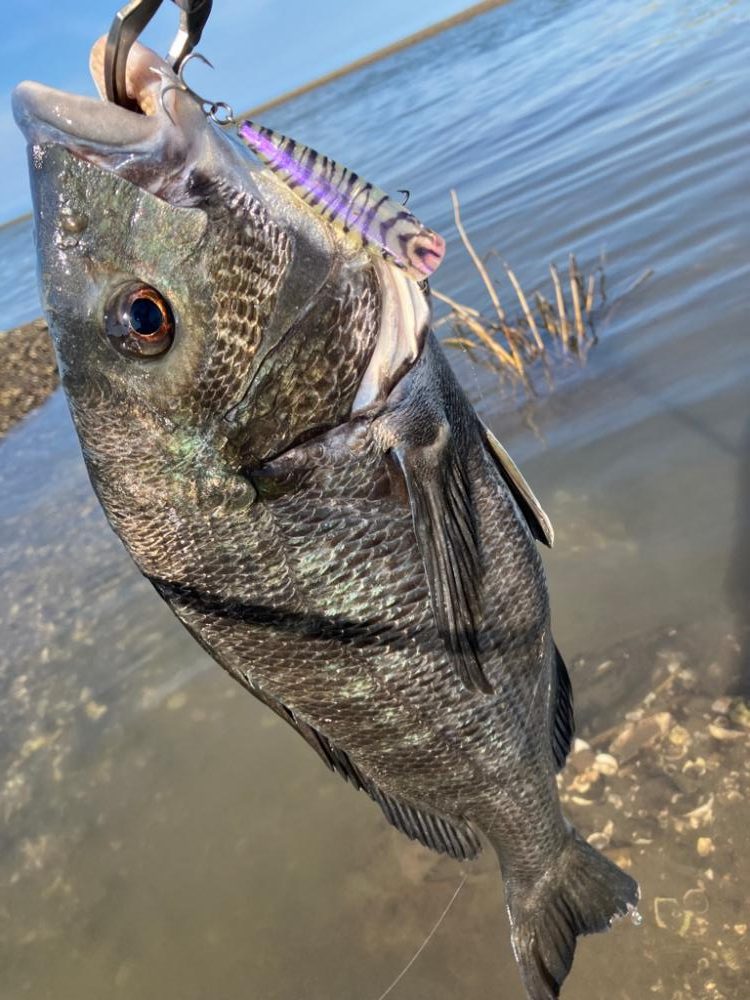 デイトップチニング