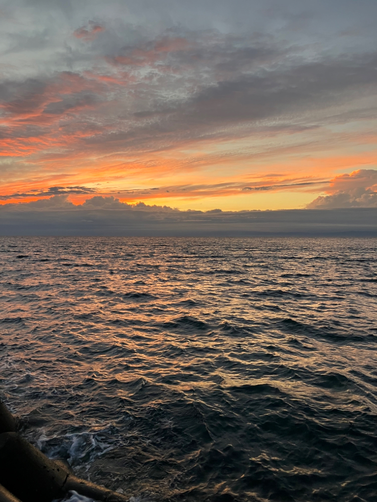 今年初タチウオ