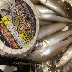 がまかつ公式投稿その1 泉南キス調査