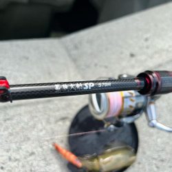 墨族大剣SP２回目の釣行で墨付け出来ました！！