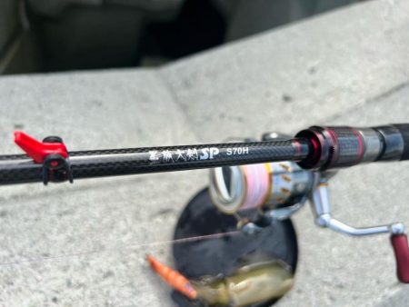 墨族大剣SP２回目の釣行で墨付け出来ました！！