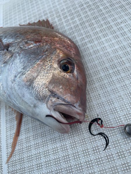 タイラバ＆ジギングリレー便