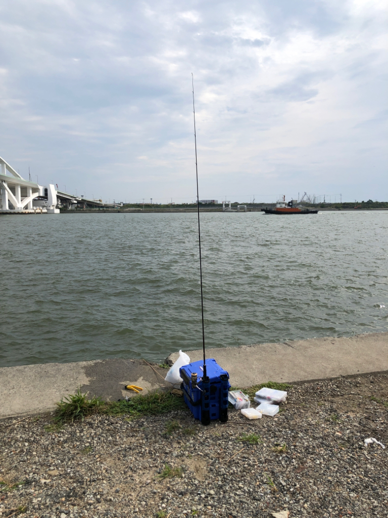 ジグサビキ で豆アジ、小サバ入れ食い