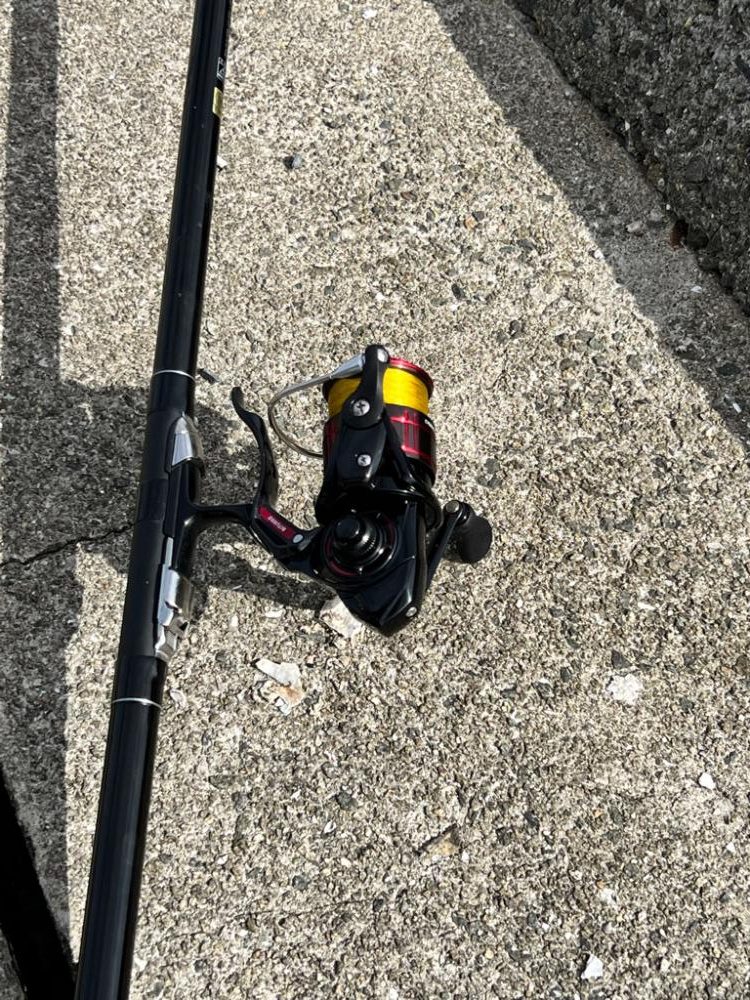 狙い通りなんですよ?