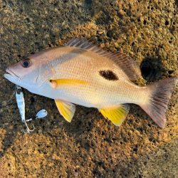 パターンを把握するのは大事