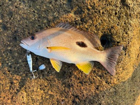 パターンを把握するのは大事