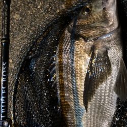 ライトゲームのつもりがチニングにw