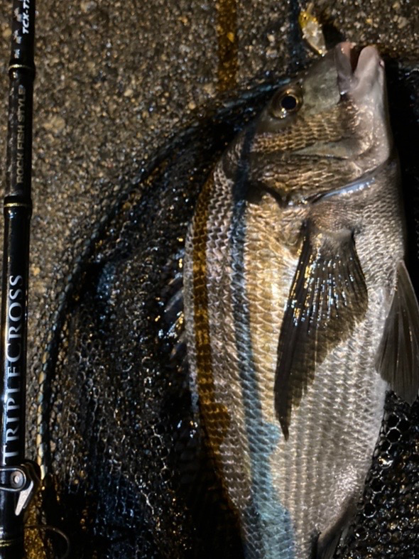 ライトゲームのつもりがチニングにw