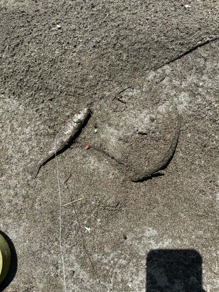 釣りキャンプ旅