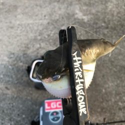 寝坊からの出発