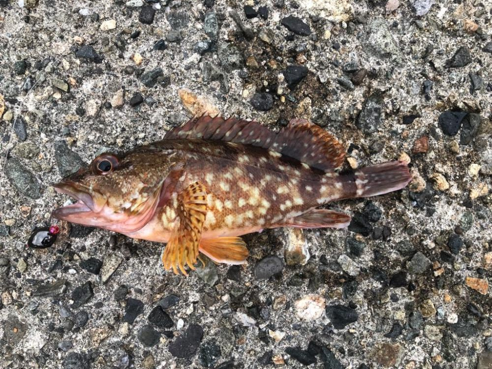 お盆の帰省 第二弾