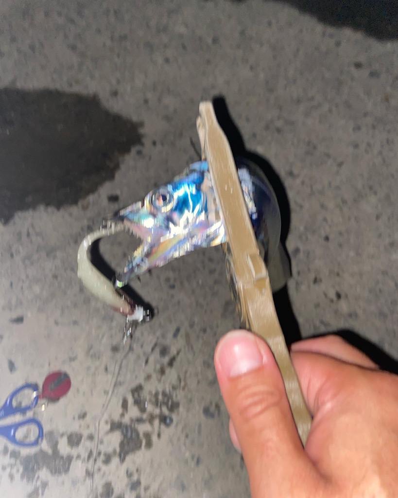 太刀魚シーズン開幕