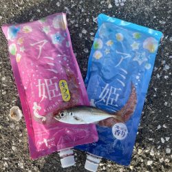 サビキ釣り釣果