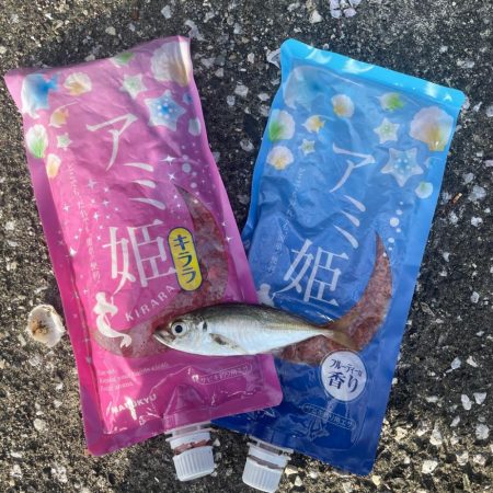 サビキ釣り釣果