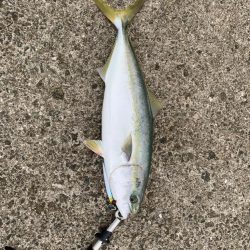 ホームでついに！