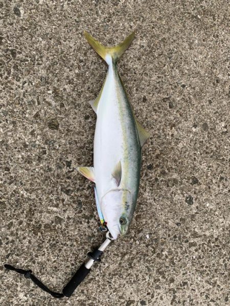 ホームでついに！