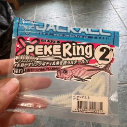 アジングでチヌ